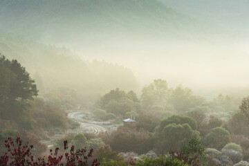 Obraz premium Beautiful misty morning dream valley mountain autumn fogy and clouds.