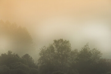 Fototapeta na wymiar Beautiful misty morning dream valley mountain autumn fogy and clouds.