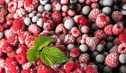 Frozen berries top view. Raspberries and black currant.