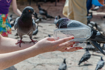 Feeding time