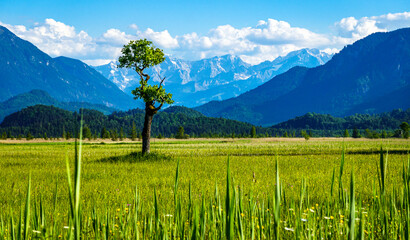 landscape at the Murnauer Moos - bavaria