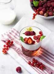 Delicious italian dessert panna cotta with raspberry sauce, fresh berries and mint on gray...