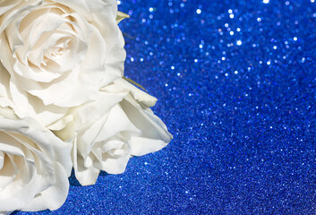  White rose out of focus on a beautiful shining blue background, mockup for greeting cards,...