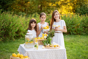 Cute little children selling lemonade in park. Homemade lemonade sale concept. Lemons, mint,...