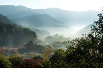 Beautiful misty morning dream valley mountain autumn fogy and clouds.