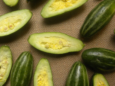 Sliced cut yellow color raw fresh Pointed gourd
