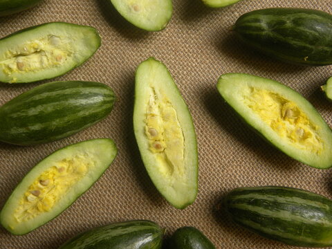 Sliced cut yellow color raw fresh Pointed gourd