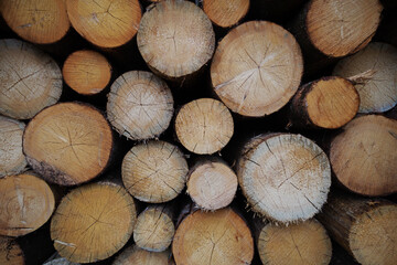 stack of firewood Piled stack of chopped firewood outdoors on bright sunny day
