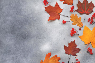 Autumn Background with leaves on a dark grey concrete background. Top view.