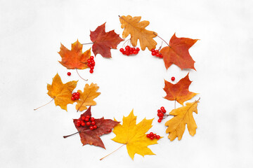 Autumn Background with leaves on a white background.