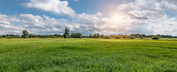 Panoramic view of a Belgian nature and meadow landscape during sunset. Beautiful grass field in the...