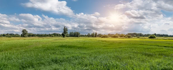 Gordijnen Panoramic view of a Belgian nature and meadow landscape during sunset. Beautiful grass field in the countryside. © Nancy Pauwels