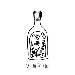 Vinegar in glas bottle hand drawn doodle illustration.