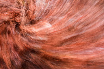 Abstract beautiful motion blured forest trees in spring time.