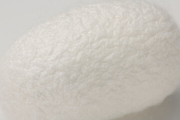 たくさんの繭玉 白バック