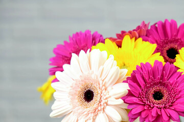 Bouquet of colored gerberas on a white brick background.