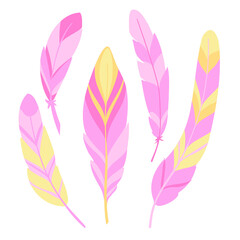 five decorative pink bird feathers