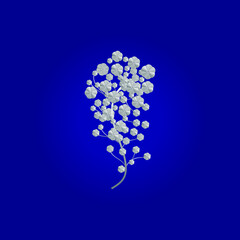 Silver plant on blue background
