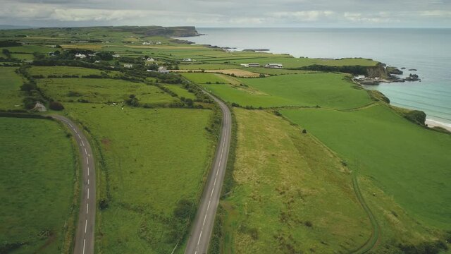 Aerial view Ireland roads: meadows, green fields with grains. Farms and houses surrounded by greenery on rocky shore of ocean bay. Irish countryside on summer evening. Rise up footage shot in 4K, UHD