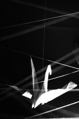 origami crane isolated on black