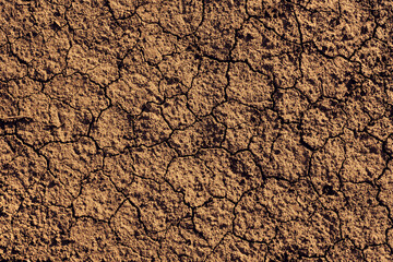 Texture of dry cracked land surface, top view