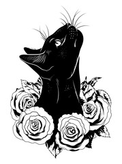 Obraz premium Black cat in roses