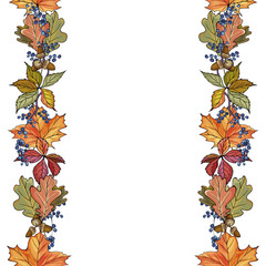 Seamless border from autumn leaves, wild grapes. Place for text. Frame of acorns, maple, aok leaves  for sales, thanksgiving, invitation, greeting cards. Vector illustration.