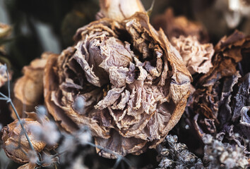 Dry bouquet