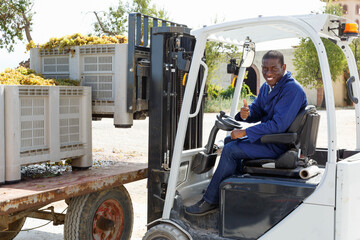 Fototapeta na wymiar Glad smiling male forklift driver unloading delivered grapes harvest from truck platform