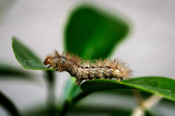 the next level - das nächste Level