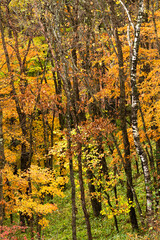 Obraz premium 長野と山梨に跨がる八ヶ岳、秋の風景・日本