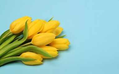 bunch of yellow tulip flowers top view