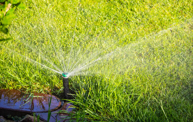 Automatic garden irrigation. Sprinkler.