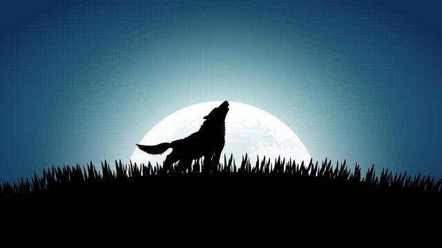 Wolf howling by looking up at the rising moon. Video animation, 4k Motion graphics.