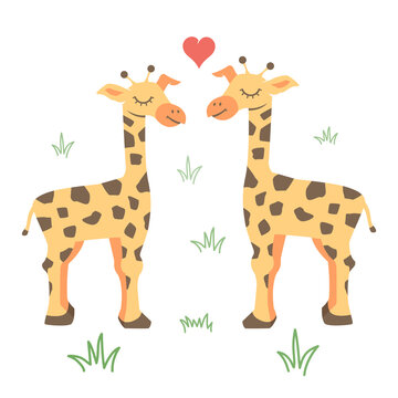 Illustration of a Giraffe Couple Facing Each Other, cartoon vector illustration on white background