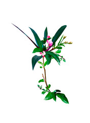 Vector decoration consisting of blossoming flowers, branches, green leaves, buds, wreath, floral and herbs garland. Botanic design ornament concept in low poly style isolated on white