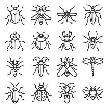 Bugs and Insects Icons Set on White Background. Vector