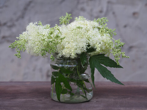 Bouquet of filipendula ulmaria with fragrant delicate flowers in a glass jar on a gray background. Seasonal flowering of medicinal herbs for use in alternative medicine