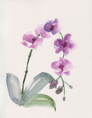 Watercolor illustration with purple orchid flowers. Abstract painting on paper in Chinese Ink style. Oriental hand drawn sketch with tropical plant. Peaceful floral nature background.