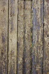 old wood texture