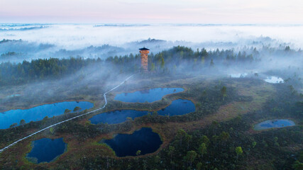 An aerial view of beautiful bog in Estonian nature during foggy sunrise with a watching tower and wooden hiking trail, Northern Europe. 