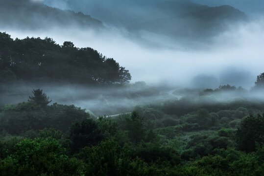 The wonderful and beautiful secret garden,the wave of misty sea float in the valley covered with forest at dawn. © Chongbum Thomas Park