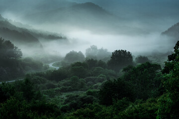 The wonderful and beautiful secret garden,the wave of misty sea float in the valley covered with forest at dawn.