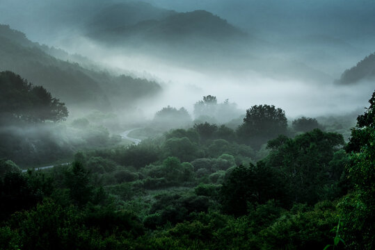 The wonderful and beautiful secret garden,the wave of misty sea float in the valley covered with forest at dawn. - Powered by Adobe