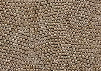 snake leather material for the design