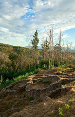 pre-roman stone constructions where the Celts lived surrounded by vegetation