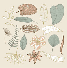 Tropical exotic palm leaves collection. Hand drawn palm leaves with contour In soothing pastel colors. Set of isolated on a beige background for fabric, textile, T-shirts and wallpaper.