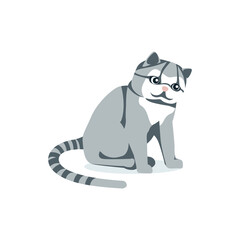 Cute fluffy gray cat with striped tail. Lovely sitting domestic pet animal cartoon vector illustration isolated on white background