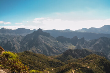 Fototapeta premium Landscape among the hills in Gran Canaria Island with rocks, bushes, different type of flowers, trees and cloudy sky mixed with intense blue color