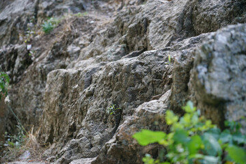 Fototapeta na wymiar canyon rocks and stones close up
